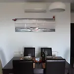 Miocic * זאדאר